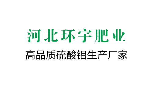 皮帶輸送機由哪些部分組成？